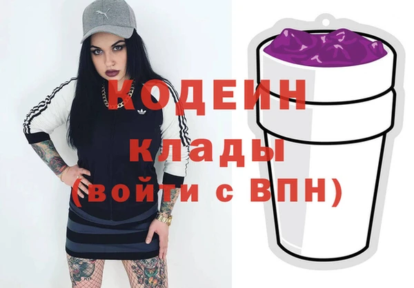 хмурый Александровское