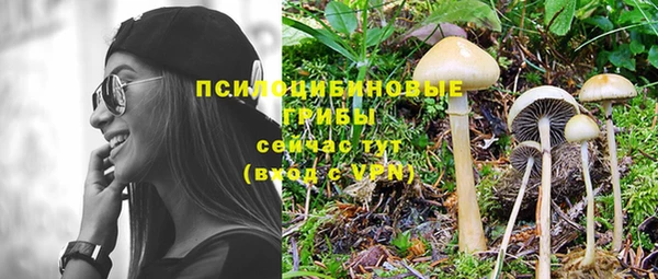 дурь Иноземцево