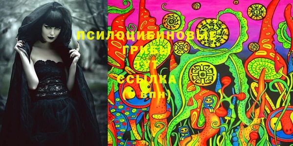 хмурый Александровское
