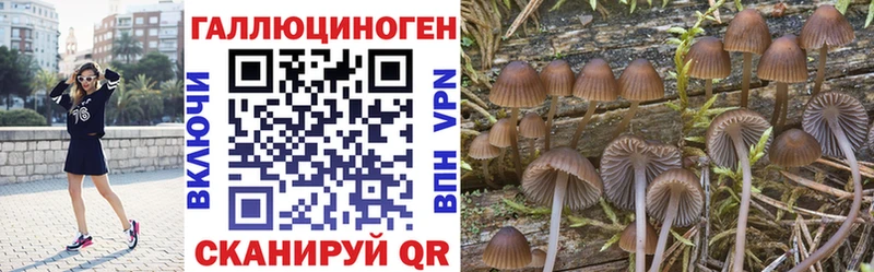 Галлюциногенные грибы Psilocybine cubensis  Старый Оскол 