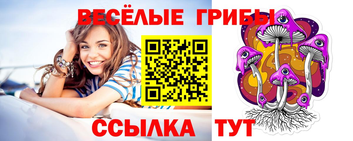 Галлюциногенные грибы Psilocybe Старый Оскол