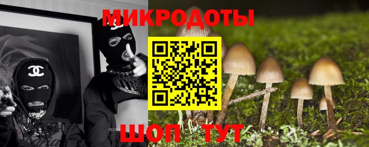 Старый Оскол  Галлюциногенные грибы GOLDEN TEACHER  Вход с VPN  Псилоцибиновые грибы прущие грибы 